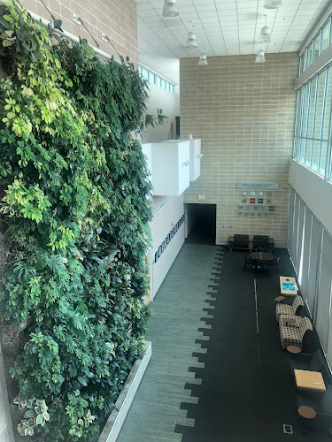 agencia de empleo en New Mexico