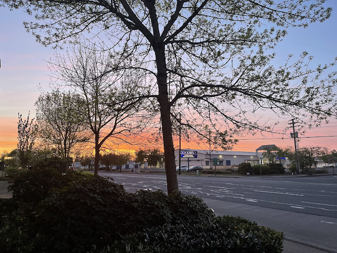 agencia de empleo en Springfield