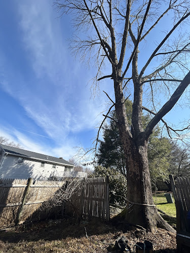 agencia de empleo en Cambridge