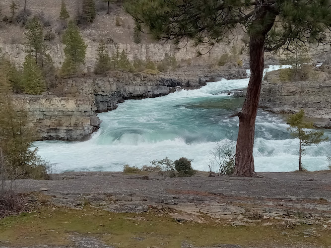 agencia de empleo en Montana