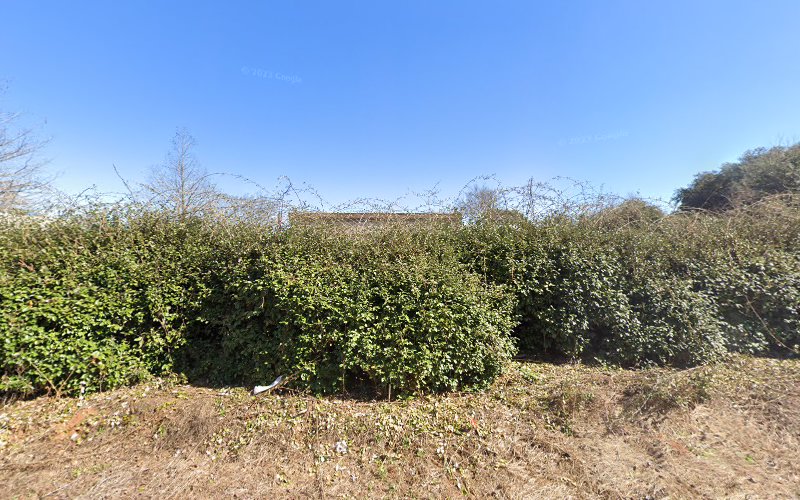 agencia de empleo en Albany